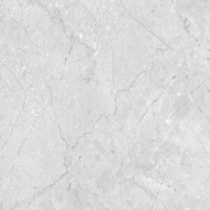 FORMA GREY – Glossy Vitrified Tile | Marble Look For Sale